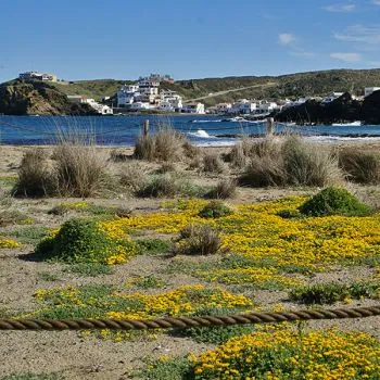 Menorca7 013a7e45